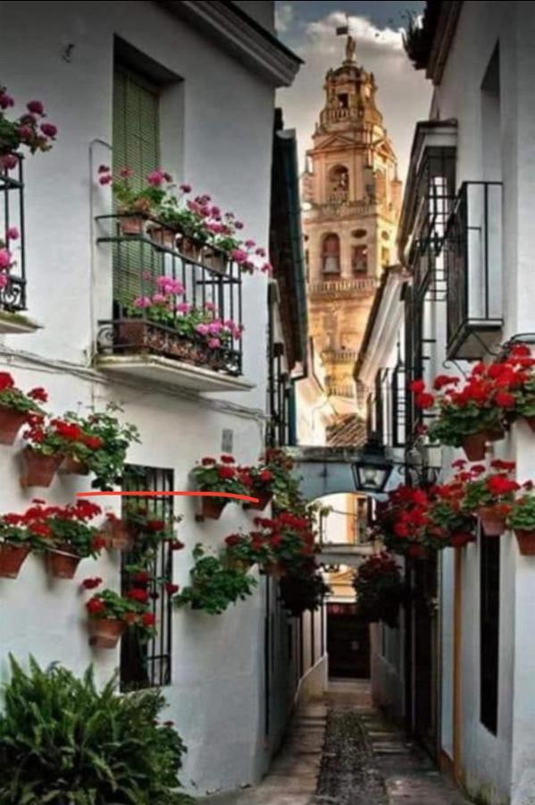 Apartamento La Magdalena Cordoba Dış mekan fotoğraf